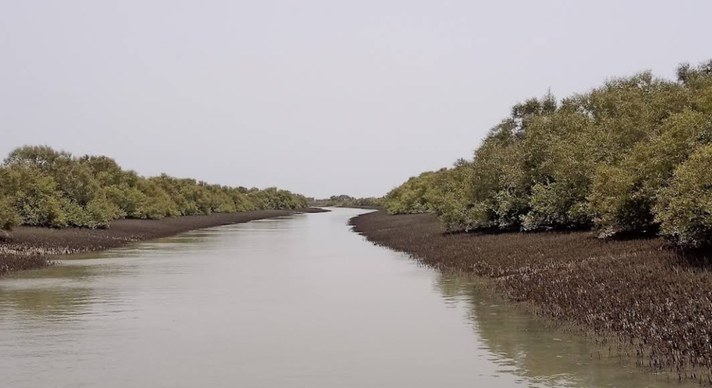 The Looming Ecological Crisis in Sindh