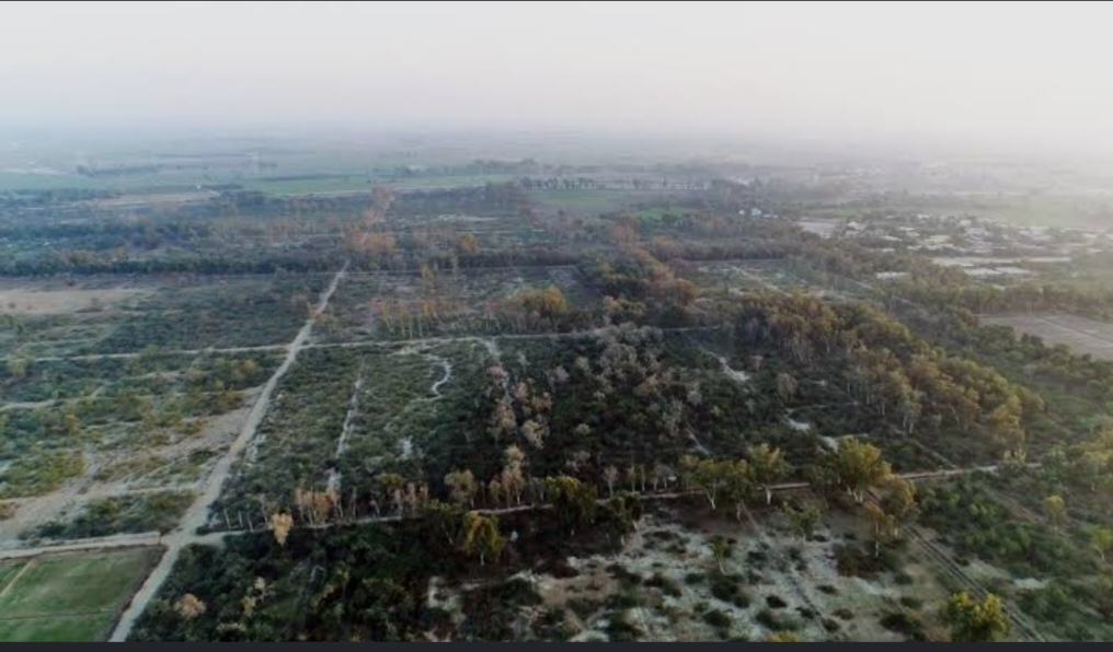 The Looming Ecological Crisis in Sindh