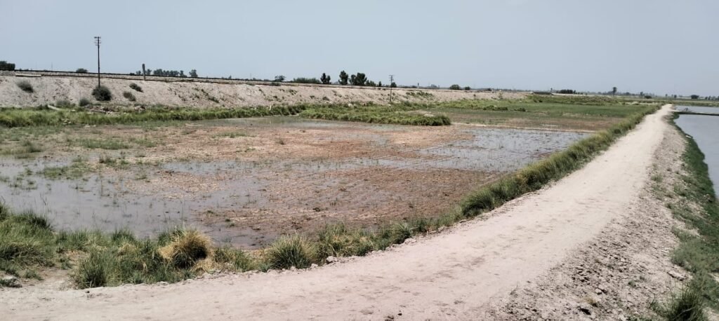 Sidhnai Headworks and the 2025 Flood: What Went Wrong?