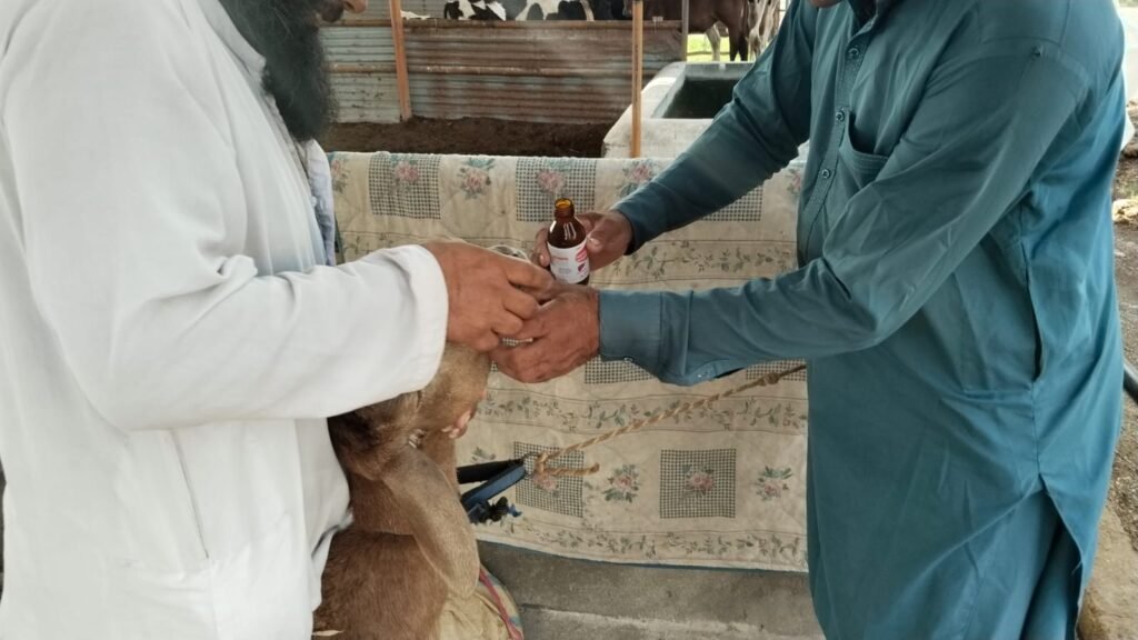 How Climate Change Is Hitting Farmers in KP