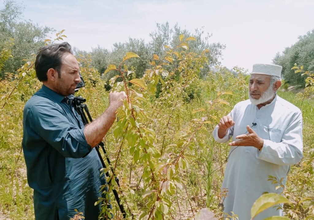 How Climate Change Is Reshaping Work of Local Journalists
