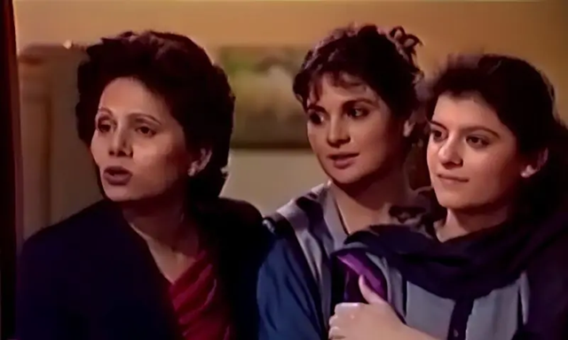These Pakistani Dramas Reached UAE in Suitcases
